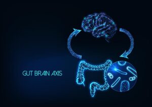 Futuristic gut brain axis, microbiome and mood connection concept with intestine, brain, gut flora. 