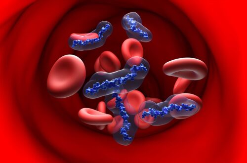 Mastering the switch between anticoagulants with precision and safety (1)