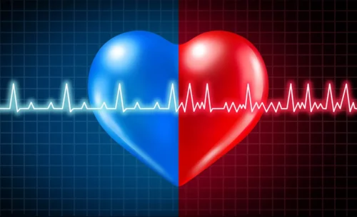 Vector of a blue and red heart with a heart rhythm across it